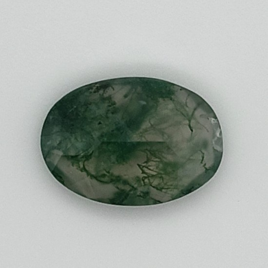 Tree Agate 4.99 Ct Certified Tree Agate 4.99 Ct Certified